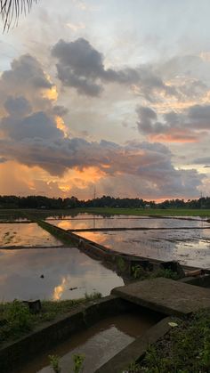 the sun is setting over an empty rice field with water in front of it and clouds above