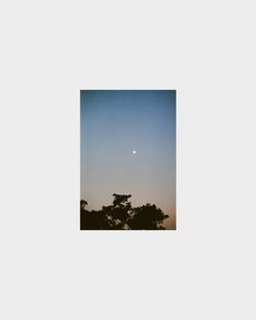 the moon is seen in the sky above some tree tops at dusk, with only one cloud visible