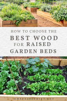 Raised garden beds with vegetables and herbs. Vegetable Garden Layout Design, Raised Garden Bed Plans, Type Of Wood, Vegetable Garden Raised Beds, Diy Raised Garden, Garden Design Layout, Garden Types