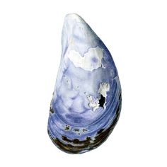 a blue and white vase sitting on top of a table