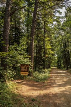 a dirt road in the middle of some trees