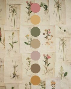 an arrangement of flowers arranged in different colors on a sheet of paper with the same color scheme