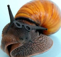 a close up of a snail with glasses on it's face and hair sticking out