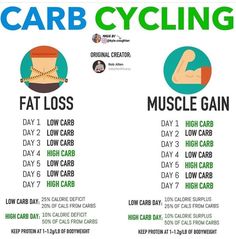 Calorie Cycling, Workout Plan For Beginners