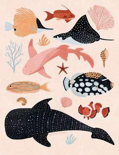 an illustration of different types of sea animals