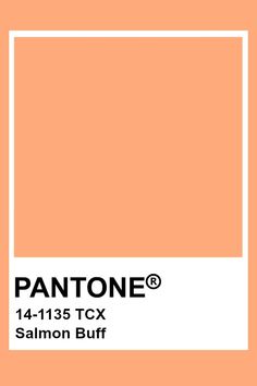 pantone's burnt coral color is shown with the text, ` person '