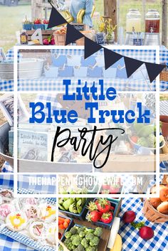 a blue and white picnic party with lots of food on the table, including fruits and vegetables