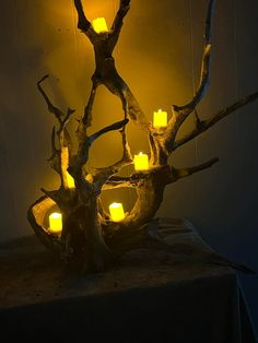 a lighted tree branch with candles in it