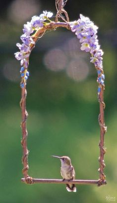 a small bird sitting on top of a branch with flowers hanging from it's side