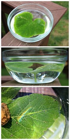 four different pictures showing the process of making green liquid in a glass bowl on a wooden table