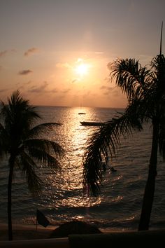 the sun is setting over the ocean with palm trees and boats in the water below