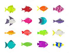 colorful fish set on white background