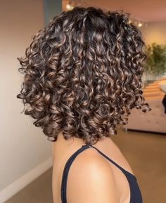 Black With Brown Highlights Curly Hair, Short Curly Hair Ombre Balayage, Curly Subtle Highlights, Short Brown Curly Hairstyles, Curly Short Highlights, Shoulder Length Curly Hair Highlights, Short Curly Hair From The Back, Low Light Curly Hair, Lowlights For Brown Curly Hair