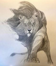 a pencil drawing of a lion running