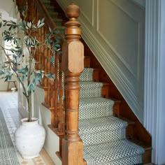 a plant is sitting on the stairs next to a potted plant in a vase