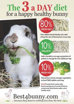 an advertisement for the 3 - a - day diet for a happy healthy bunny