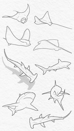 several different types of sharks drawn on paper