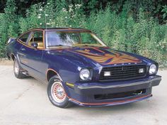 a blue car with flames painted on it's hood parked in front of some bushes