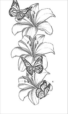 flowers and butterflies are drawn in black and white