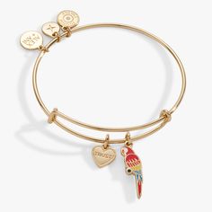 Gold Enduring Love, Trust You, Summertime Fun, Charm Bangle, Gold Bangles, Trust Yourself, Summer Time, Parrot, Bangles