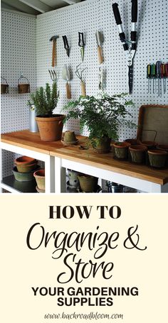 the words how to organize and store your gardening supplies are displayed on a wall above a table with potted plants