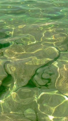 the water is very clear and green with some small ripples on it's surface