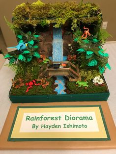 the rainforest diorama is on display at the children's museum