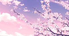 a tree with white flowers in front of a blue sky