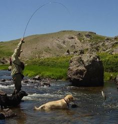 a man is fishing with two dogs in the river while another dog looks on from behind him