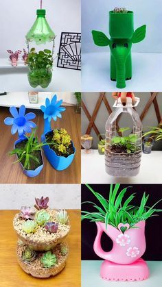 four different vases with plants in them