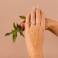 two hands holding onto each other with a ring on top of it and a green plant in the middle