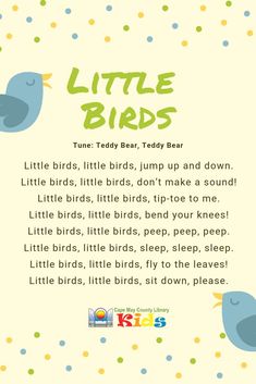 a little bird poem is shown with the words'little birds '