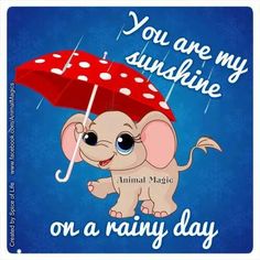 an elephant holding an umbrella with the words, you are my sunshine on a rainy day