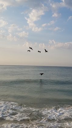 birds flying over the ocean on a sunny day