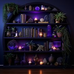 a bookshelf filled with lots of different types of plants and candles on top of it