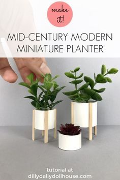 three planters with plants in them and the text mid century modern miniature planter