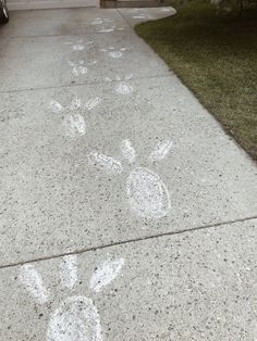 the sidewalk has been painted with white paint and is decorated with an animal's paw