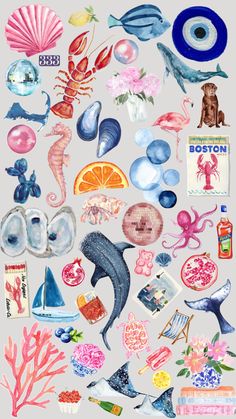 an assortment of sea animals and seashells