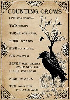 One For Sorrow, Counting Crows, Xmas Art, Witchcraft Spell Books, Witch Spell Book, Witch Books, Witch Stuff, Witch Spell