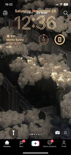 a bunch of white roses sitting in a vase on top of a cell phone screen