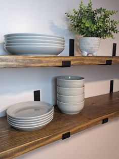 two shelves with plates and bowls on them, one is holding a potted plant