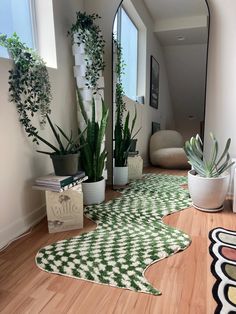 a mirror and some plants in a room