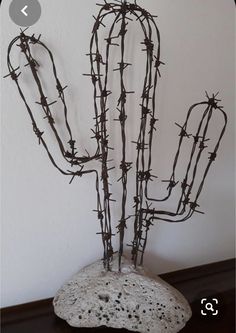 a small cactus sitting on top of a white rock next to a wall with barbed wire