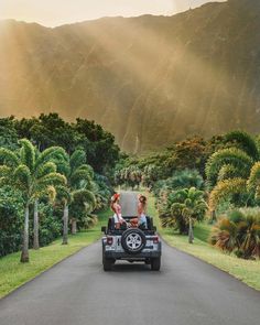 two people are riding in the back of a jeep on a road surrounded by palm trees