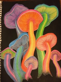 a drawing of colorful mushrooms on a black paper with colored crayon pencils