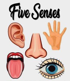 an image of five different types of facial expressions with the words'five sense'in front of them