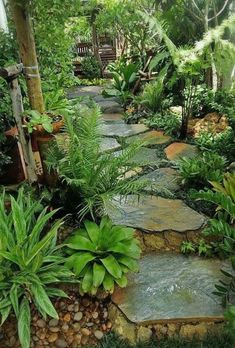 a garden with lots of green plants and rocks on the side of the path, surrounded by greenery