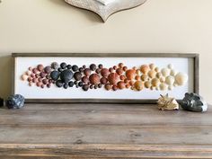 there are many shells on the table in front of this framed art piece that is hanging on the wall