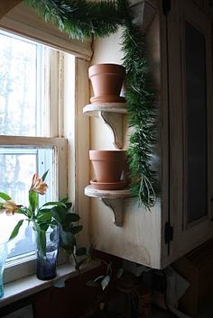 a window sill filled with potted plants on top of a wooden shelf next to a window