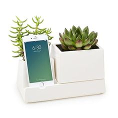 an iphone is sitting in a white planter next to a succulentt